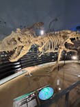 福井県立恐竜博物館に投稿された画像（2024/11/1）
