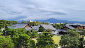 元離宮二条城に投稿された画像（2024/11/1）