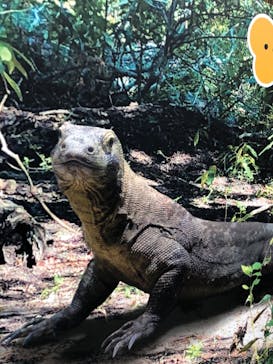 名古屋市東山動植物園に投稿された画像（2024/11/1）