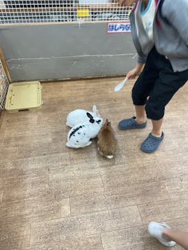 東京あそびマーレに投稿された画像（2024/11/1）