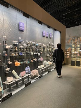 福井県立恐竜博物館に投稿された画像（2024/11/1）