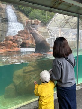 城崎マリンワールドに投稿された画像（2024/11/1）