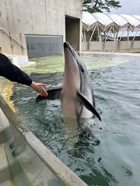 城崎マリンワールドに投稿された画像（2024/11/1）