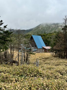 北八ヶ岳ロープウェイに投稿された画像（2024/11/1）