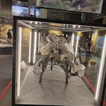 福井県立恐竜博物館に投稿された画像（2024/11/1）