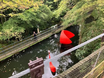 彫刻の森美術館に投稿された画像（2024/11/1）