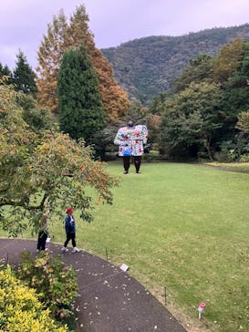 彫刻の森美術館に投稿された画像（2024/11/1）