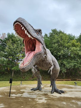 福井県立恐竜博物館に投稿された画像（2024/11/1）