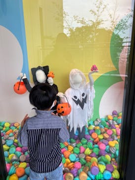 うんこミュージアム TOKYOに投稿された画像（2024/11/1）