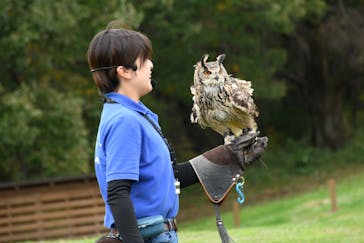 那須どうぶつ王国に投稿された画像（2024/11/1）