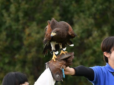 那須どうぶつ王国に投稿された画像（2024/11/1）