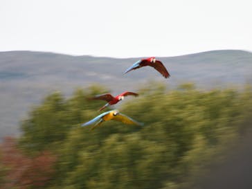 那須どうぶつ王国に投稿された画像（2024/11/1）