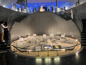 福井県立恐竜博物館に投稿された画像（2024/11/1）