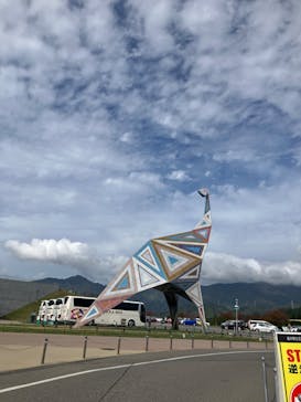 福井県立恐竜博物館に投稿された画像（2024/11/1）