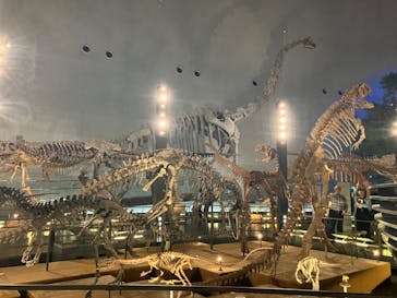 福井県立恐竜博物館に投稿された画像（2024/11/1）
