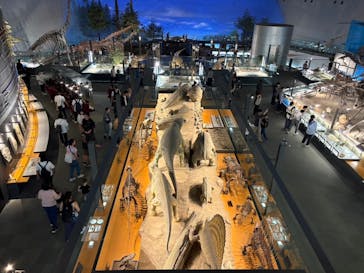 福井県立恐竜博物館に投稿された画像（2024/11/1）