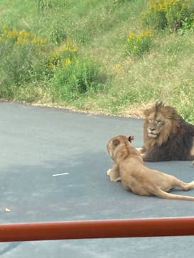 多摩動物公園に投稿された画像（2024/11/1）