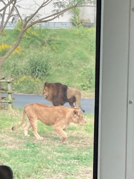 多摩動物公園に投稿された画像（2024/11/1）