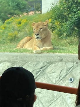 多摩動物公園に投稿された画像（2024/11/1）