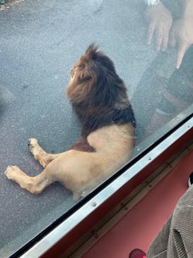 多摩動物公園に投稿された画像（2024/11/1）