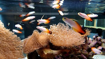 AOAO SAPPOROに投稿された画像（2024/11/1）