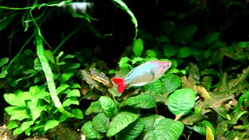 AOAO SAPPOROに投稿された画像（2024/11/1）