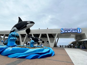 鴨川シーワールドに投稿された画像（2024/11/2）