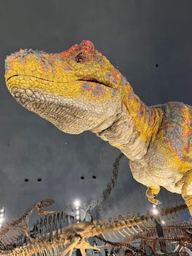 福井県立恐竜博物館に投稿された画像（2024/11/2）