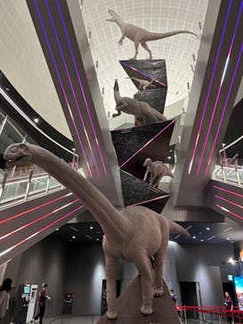 福井県立恐竜博物館に投稿された画像（2024/11/2）