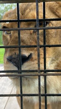 那須サファリパークに投稿された画像（2024/11/2）