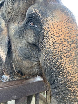 那須サファリパークに投稿された画像（2024/11/2）