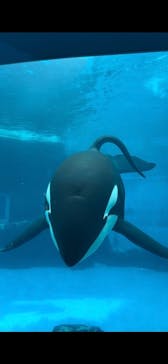 名古屋港水族館に投稿された画像（2024/11/2）