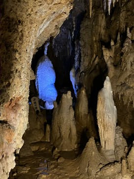 おきなわワールドに投稿された画像（2024/11/2）