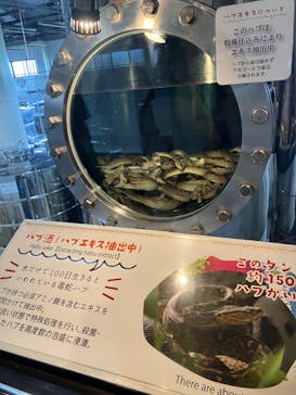 おきなわワールドに投稿された画像（2024/11/2）