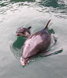 下田海中水族館に投稿された画像（2024/11/2）