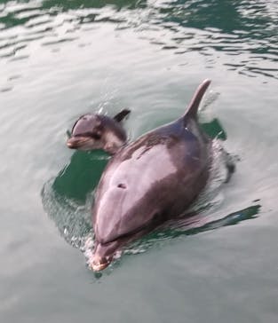 下田海中水族館に投稿された画像（2024/11/2）