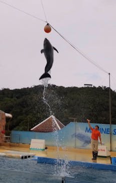 下田海中水族館に投稿された画像（2024/11/2）
