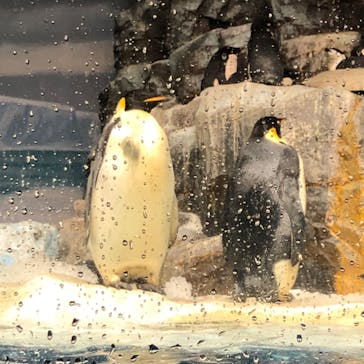 名古屋港水族館に投稿された画像（2024/11/2）