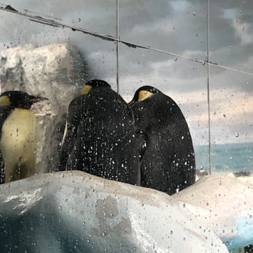 名古屋港水族館に投稿された画像（2024/11/2）