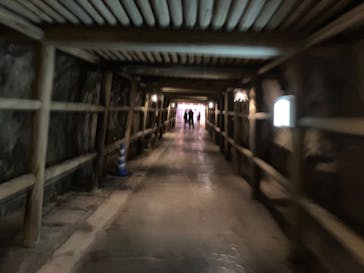 土肥金山に投稿された画像（2024/11/2）