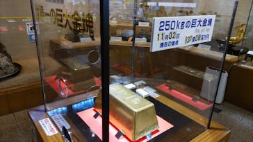 土肥金山に投稿された画像（2024/11/2）