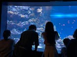 サンシャイン水族館に投稿された画像（2024/11/2）