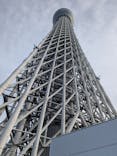 東京スカイツリーに投稿された画像（2024/11/2）