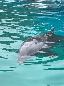 横浜・八景島シーパラダイスに投稿された画像（2024/11/2）