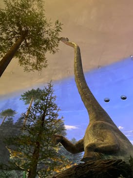 福井県立恐竜博物館に投稿された画像（2024/11/2）