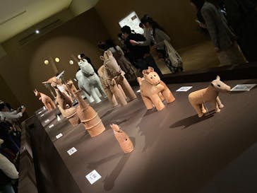 挂甲の武人 国宝指定50周年記念 特別展「はにわ」@東京国立博物館 平成館に投稿された画像（2024/11/2）