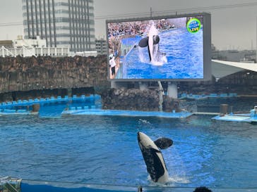 名古屋港水族館に投稿された画像（2024/11/2）