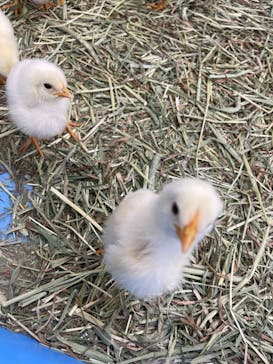 東京あそびマーレに投稿された画像（2024/11/2）