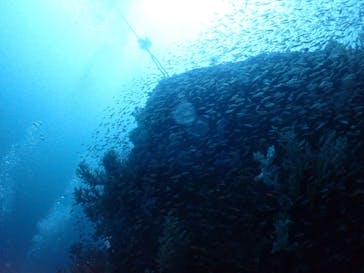 熱海マリンスポーツクラブに投稿された画像（2024/11/2）