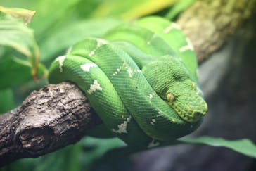 名古屋市東山動植物園に投稿された画像（2024/11/2）